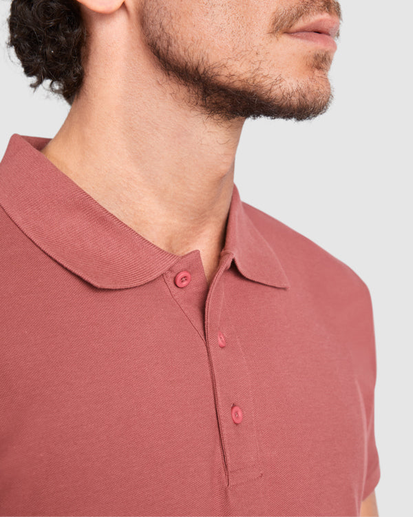 Polo Star